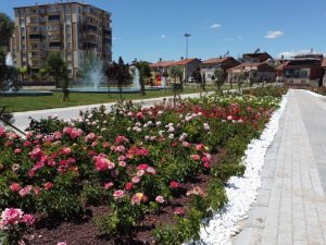 Battalgazi’deki Gül Bahçesinde Sona Yaklaşıldı