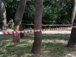 Edirne’de Ormanlara Giriş 3 Ay Yasaklandı