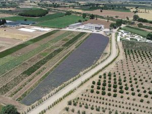 A’dan Z’ye Aromaterapi Baçem’de Konuşulacak