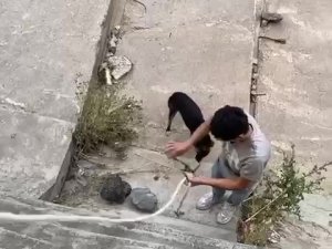 Sultanbeyli’de Dere Yatağına Düşen Köpeği Gençler Halatla Kurtardı