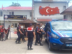 Ordu’da Maskeli Hırsızlık Olayının Failleri Tutuklandı