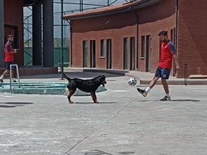 Medipol Başakşehirli Futbolculardan Sevimli Rakibe Çalım