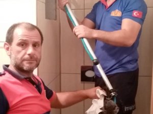 Apartman Boşluğuna Düşen Yavru Kediyi İtfaiye Kurtardı