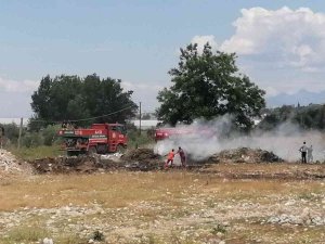 Manavgat’ta Boş Arsalardaki Kuru Otlar Yangın Tehlikesi Oluşturuyor