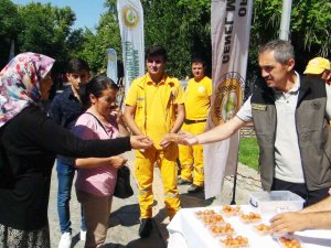 Orman Şehitleri İçin Lokma Hayrı