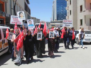 Vanlı Anne: “Kandil’in Bütün Yollarını Biz Anne Ve Babalar Kapatmışız”