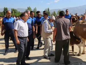 Zabıta Ekipleri Hayvan Pazarını Denetledi