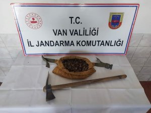 Van’da Salep Soğanı Toplayan 7 Kişi Yakalandı