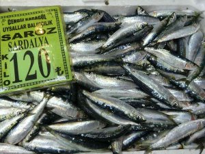 Çanakkale’de Sardalyanın Kilosu 120 Lira Oldu