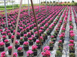 Türktob Ve Süsbi̇r’den Kdv’de İndirim Talebi