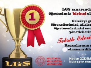 Lgs’de Malatya’dan 4 Öğrenci Birinci