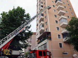 Arılar Oğul Verdi, Belediye Duvardan İndirdi