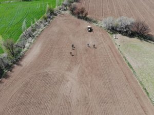 Tmo Hububat Alım Fiyatları Güncellendi
