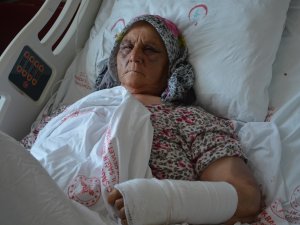 Anne-babaya Öldüresiye Darp