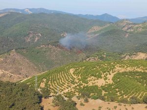 İ̇zmir’de Bergama Ve Dikili’de Yangın
