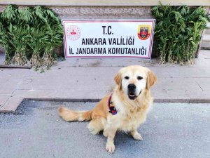 Ankara’da Uyuşturucu Operasyonu: 2 Gözaltı