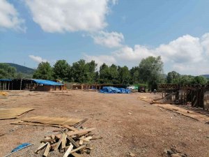 Bartın’da 56 Köpeğin Telef Olduğu Ruhsatsız Barınak Yıkıldı