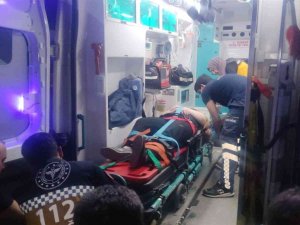 Tonlarca Ağırlığındaki Çam Ağacı Ailenin Üzerine Devrildi