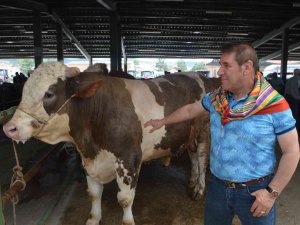 Kurban Bayramı Öncesi Kurbanlıklar Görücüye Çıktı