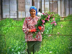 Bademler’in Çiçek Üreticisi Hollanda Borsasında