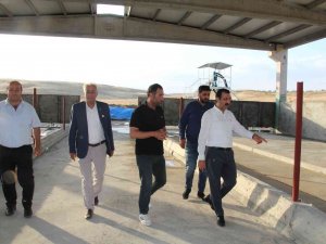 Devletten 4 Milyon Lira Destek Aldı, Günde 5 Ton Süt Üretmeyi Hedefliyor