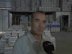 Yumurta Üretimi Durma Noktasında