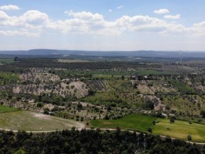 Çanakkale’de Ormanlık Alanlara Girmek Yasaklandı