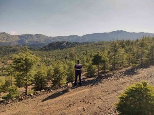 Jandarma Orman Nöbetinde