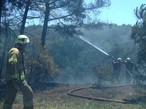 Beykoz Çavuşbaşı’nda Ormanlık Alanda Yangın Çıktı. Olay Yerine Çok Sayıda İtfaiye Ekibi Sevk Edildi. Yangına Havadan Da Helikopterle Müdahale Ediliyor.