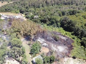 Beykoz’da Korkutan Orman Yangını: Alevler Evlerin Bahçesine Sıçradı