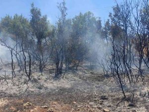 Kilis’te Çıkan Orman Yangını Kısa Sürede Söndürüldü