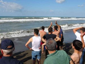 Ordu’da Denize Giren Bir Kişi Kayboldu, Arama Çalışması Sürüyor