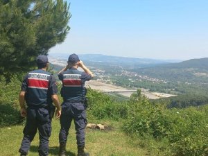 Jandarmadan Ormanlara 24 Saat Devriye