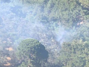 Zeytinlik Yangınına Karadan Ve Havadan Müdahale Edildi