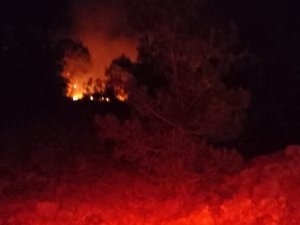 Adana’da Gece Çıkan Orman Yangını Kontrol Altına Alındı
