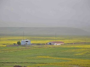 Kars Gökkuşağı Gibi