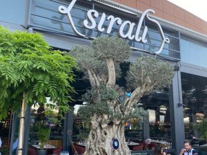 Sıralı Kebap Bu Yaz İ̇stanbul’da, Seneye Bodrum’da