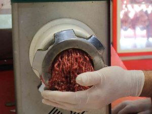 Sağlam: “İ̇zinsiz Kıyma Çekenlere Yasal Ve İdari Yaptırımlar Uygulanacak”