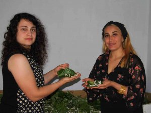 İ̇ki Kadın Arkadaş Sırt Sırta Verdi İpek Böcekçiliğine Başladı, 45 Günde 34 Bin Lira Kazanacaklar