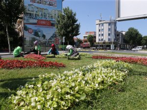 Şehrin Caddeleri Çiçek Bahçesi Gibi Olacak