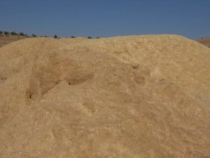 Çiftçilerin Kış Hazırlığı Şimdiden Başladı