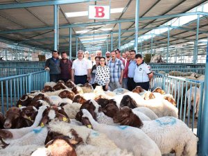 Hibe Desteği 200 Üreticinin Yüzünü Güldürdü