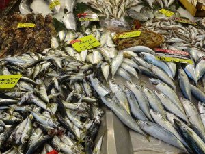 Av Sezonu Bitse De Balıklar Tezgahları Süslemeye Devam Ediyor