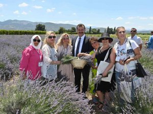 Balıkesir Büyükşehir Belediyesi, Şehri Aromatik Bitki Üssü Yapma Yolunda Önemli Adımlar Atıyor