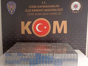 Şırnak’ta Kaçakçılık Ve Asayiş Operasyonu: 81 Gözaltı