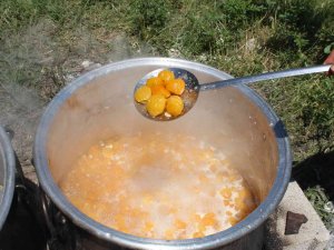 Iğdır’ın Muhteşem Kokulu Kayısısından Reçeller Yapılmaya Başlandı