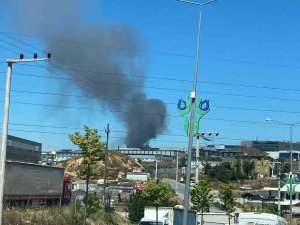 Tuzla Kimyacılar Sanayi Sitesi’nde Bulunan Bir Fabrikada Yangın Çıktı. Olay Yerine Çok Sayıda İtfaiye Ekibi Sevk Edildi.