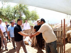 Alanya’da Kapalı Hayvan Pazarı Ve Kurban Satış Yeri Hizmete Girdi