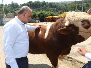 Sandıkçı: “Canik Hayvan Pazarı Karadeniz’de Örnek Bir Pazar”