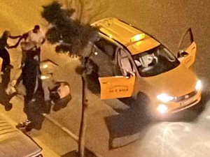 Önce Isırıp Darp Etti, Sonra Taksiyle Kaldırıma Çıkıp Ağaca Vurdu